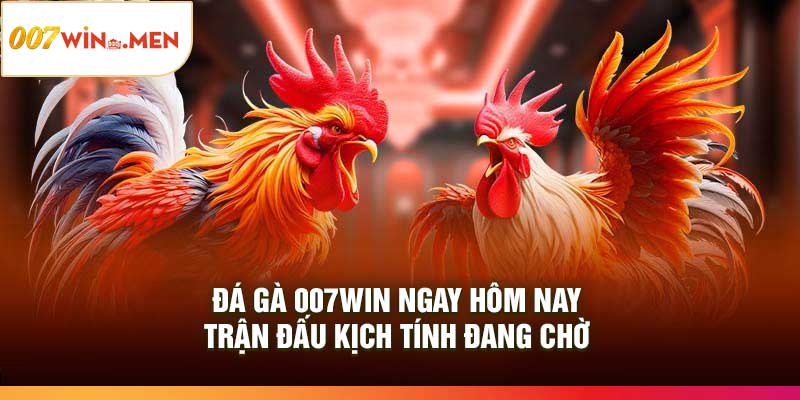 Đá Gà 007Win Ngay Hôm Nay – Trận Đấu Kịch Tính Đang Chờ
